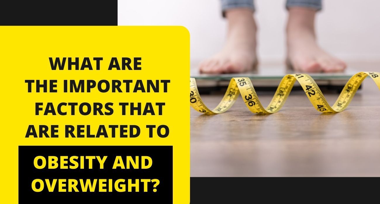 What are the Important factors that are related to Obesity and Overweight?