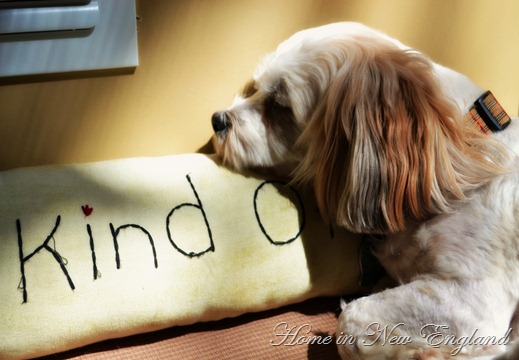 kind