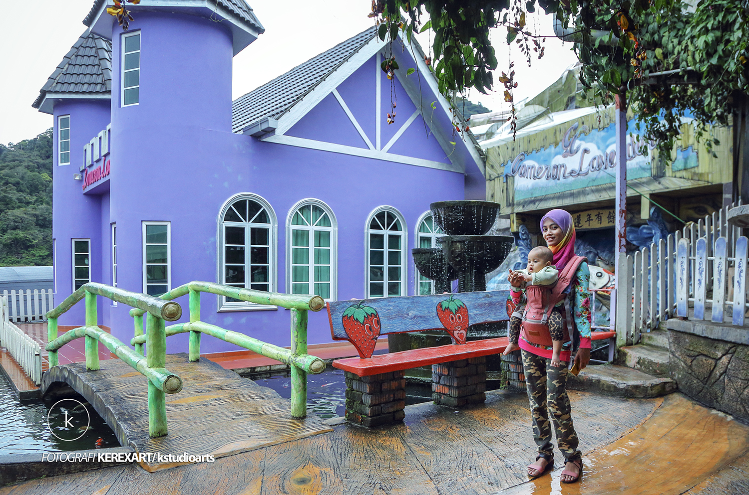 LAVENDER GARDEN CAMERON HIGHLAND