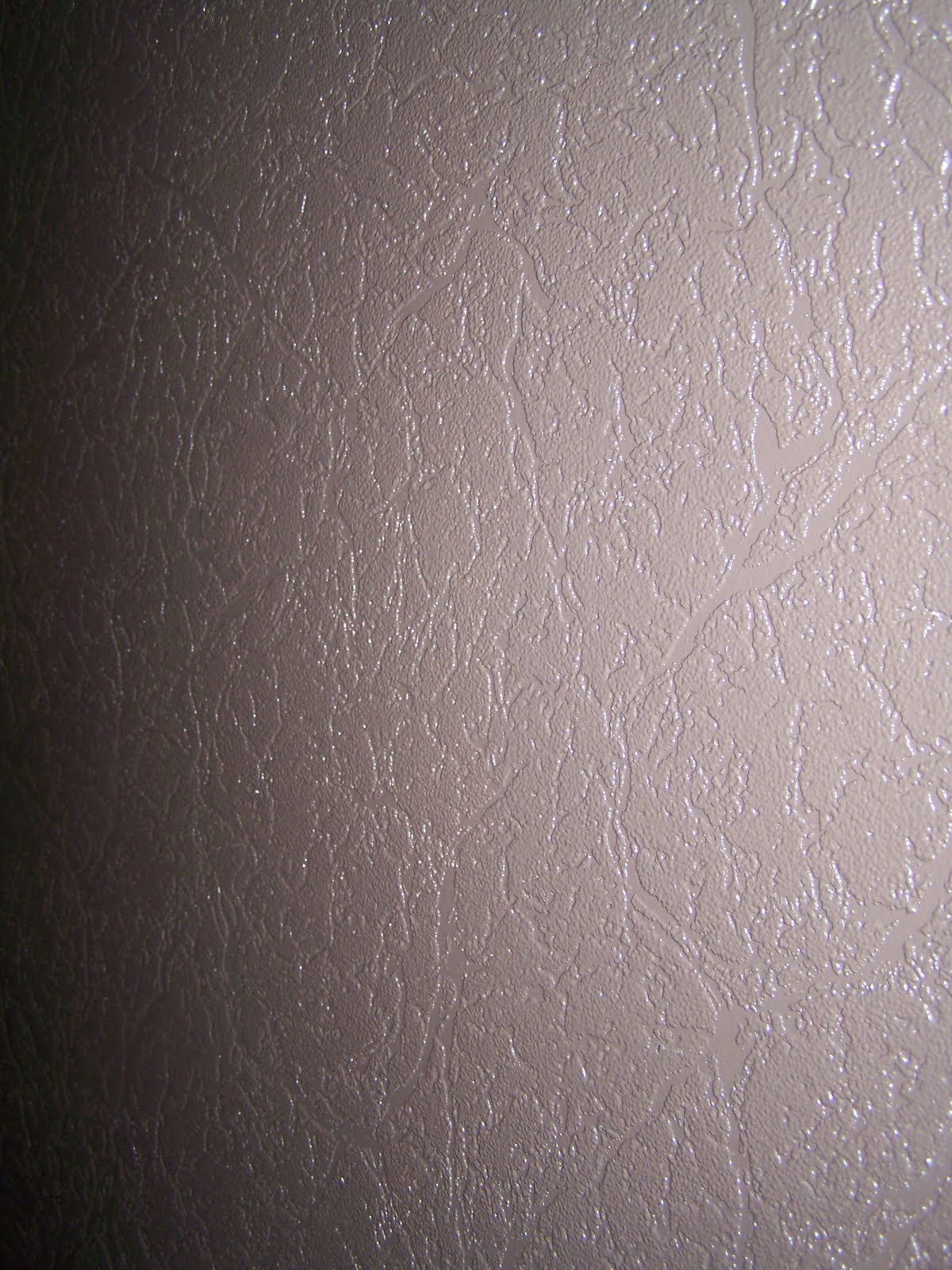 paintable textured wall paper