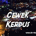 Lirik Lagu Kemal Palevi ft Young Lex - Cewek Kerdus