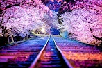 How To Say Beautiful In Japan : Most beautiful places in Japan - CNN.com - Are you interested in learning how to say that you like something in japanese?