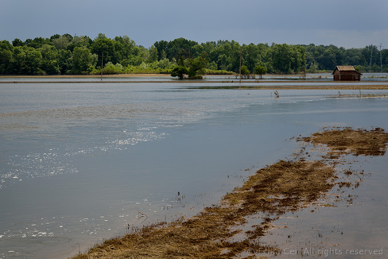 Alluvione Bijeljina sulla galena del fiume Sava