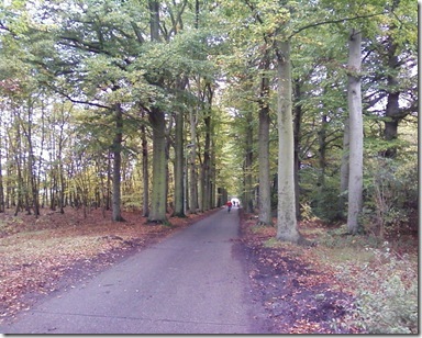 Photo-15