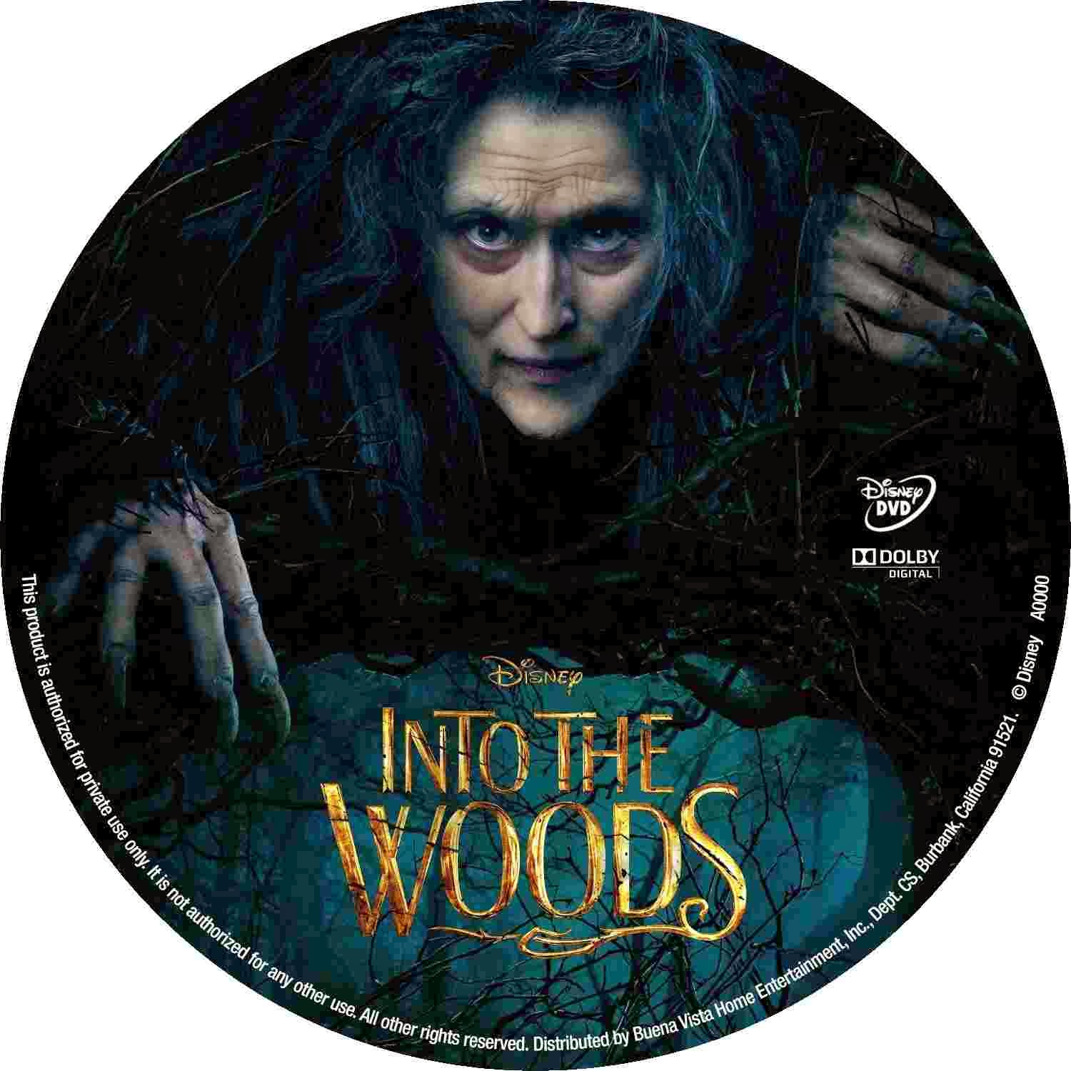 Into the Woods (2014) - Label / CD Cover Movie