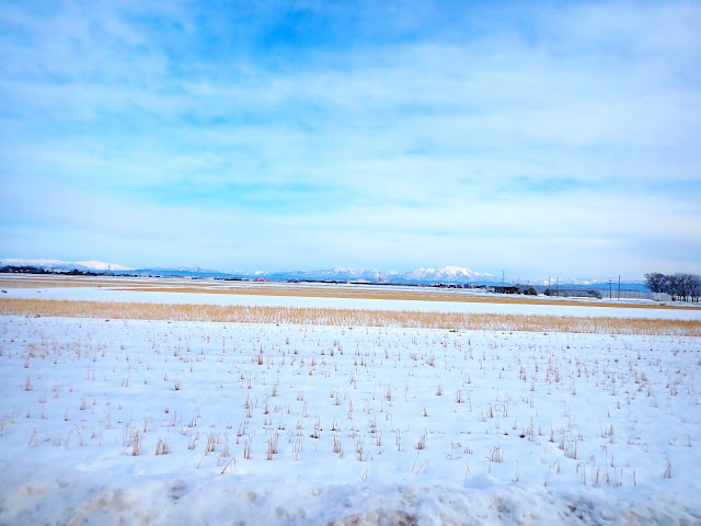 新潟縣在一月和二月經常下雪。但請小心，因為暴風雪天火車可能會停駛！