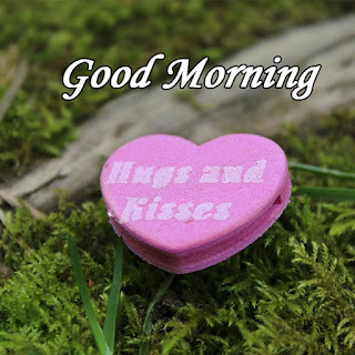 Good morning hd wallpaper, Good morning wallpaper for love, Good morning wallpaper, Good morning love images, Good morning hd images for whatsapp, Good morning hd wallpaper download, good morning love images for girlfriends