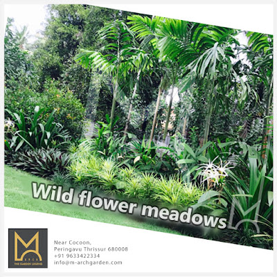  Wild flower meadow gardeners | M-arch Garden