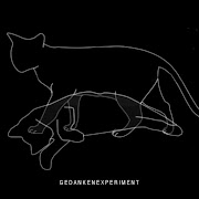 There is now a Gedankenexperiment MySpace up. There is basically one track . (af ae dd fa )