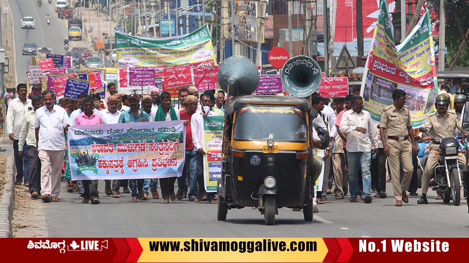 Sharavathi Protest