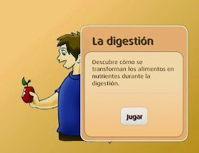 http://www.primaria.librosvivos.net/archivosCMS/3/3/16/usuarios/103294/9/digestion_cono4EP_ud1_01/frame_prim.swf