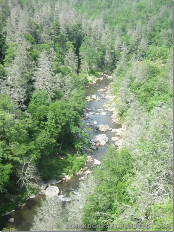 2010-06-07 035