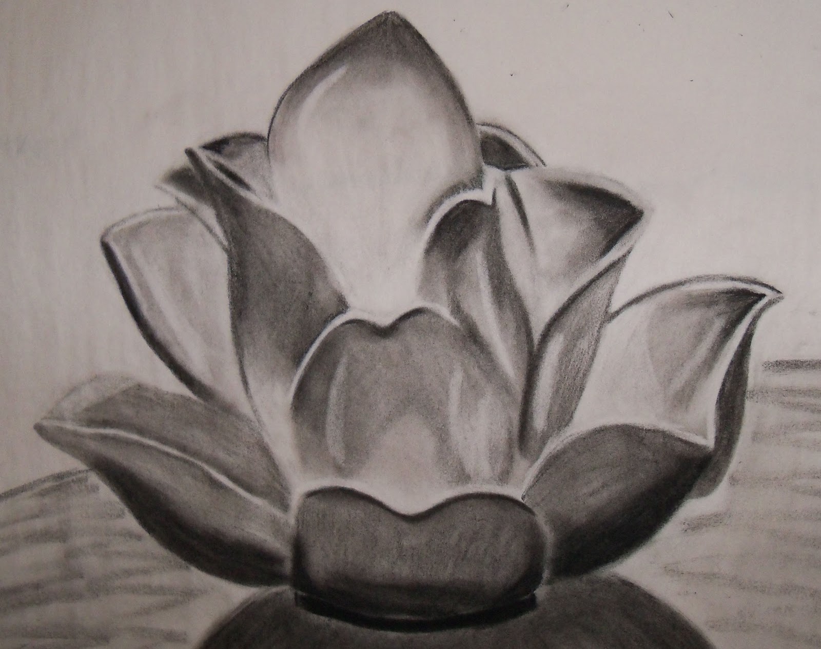 Pin by Janell Stifter on artsy | Charcoal art, Flower sketches