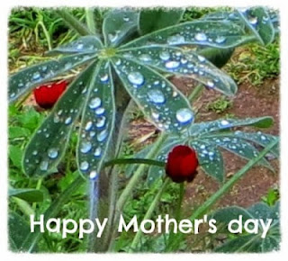 Happy mother's day greeting cards - flowers