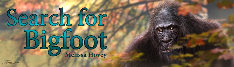 The Search For Bigfoot