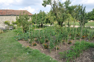 French Village Diaries Silent Sunday photos potager gardening