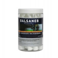  Balsaneb 