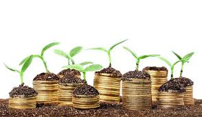 Don't eat that investment seed for it is your future harvest