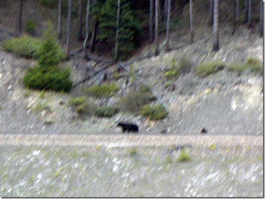P1150435