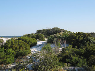 Click to see Destin Beach Dunes