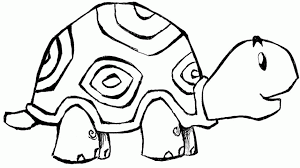 Best Turtle Coloring Pages - Cute Animals Coloring Pages