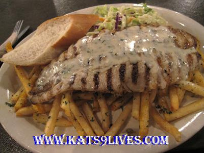 California Fish Grill on Kat S 9 Lives  California Fish Grill  Foothill Ranch    Simple