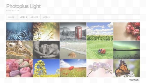 Plantilla Photoplus Light