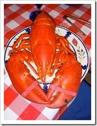 maine5