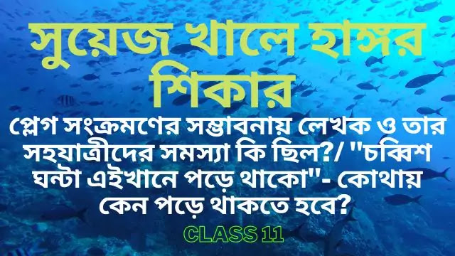 প্লেগ সংক্রমণের সম্ভাবনায় লেখক ও তার সহযাত্রীদের সমস্যা কি ছিল? অথবা চব্বিশ ঘন্টা এইখানে পড়ে থাকো- কোথায় কেন পড়ে থাকতে হবে?