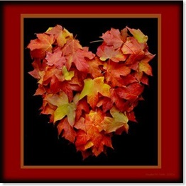 Autumn leaf heart