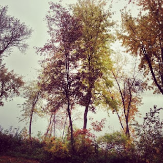 Mist and trees on the shore of Lake Schmidt at Salem Green Apartments