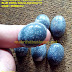 Mata cincin batu BLUE CORAL Natural oval besar 01