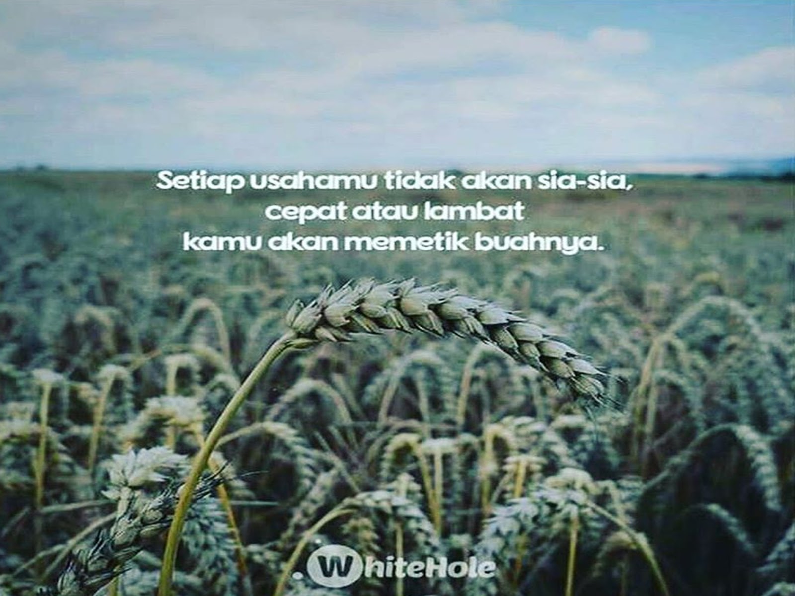 Kumpulan Gambar Kata Kata Bijak Penuh Motivasi Terbaru Dan Terbaik