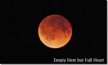 Lunar Eclipse