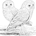 Inspirational Owl Print Out Coloring Pages