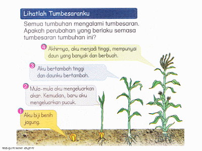 Dunia Sains dan Teknologi (Belajar dengan Ceria): DST 