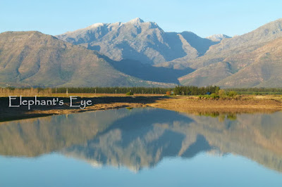 June 2011 Groot Winterhoek reflection