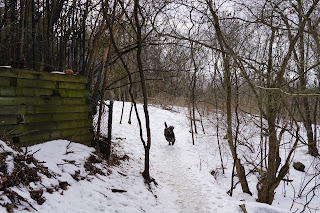 Unpaved trail from Banbury Community Centre to meadow in Windfields Park, Toronto.