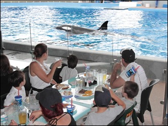 os-photo-seaworld-dine-with-shamu-20120710