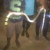 A King Cobra Killed By UNIOSUN Students
