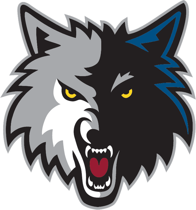 Man Fast Break: 2010 NBA TEAM PREVIEWS #28 MINNESOTA TIMBERWOLVES