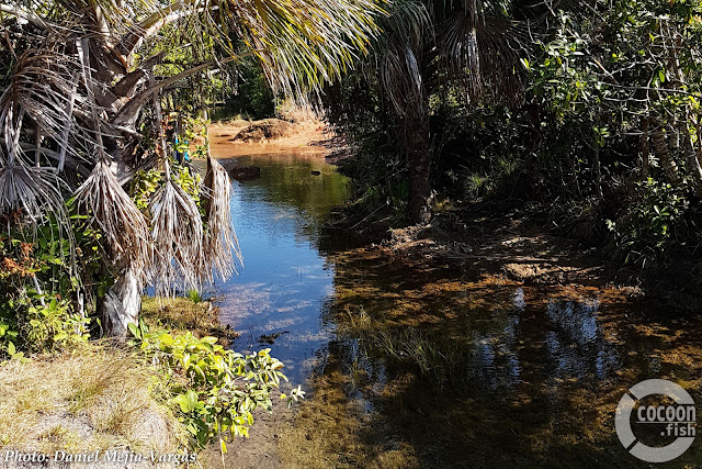 habitat photo