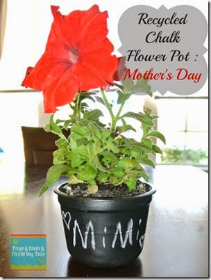 Mother's Day Gift Recycled Chalk Flower Pot from Frogs and Snails and Puppy Dog Tails