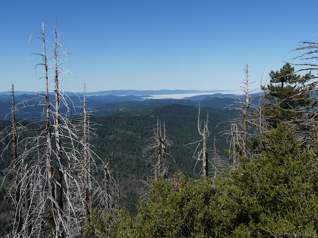 fog coming inland