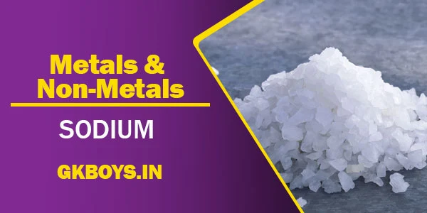 Metals & Non Metals | Sodium | GK Boys