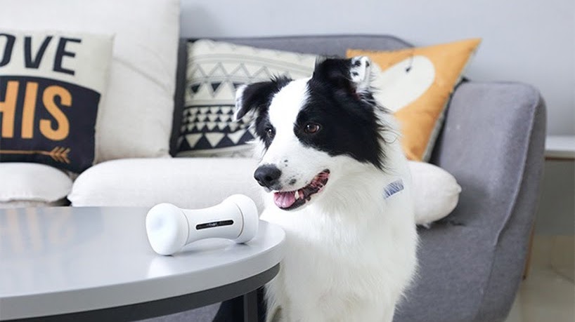 WICKEDBONE: el primer juguete para perros inteligente e interactivo del mundo