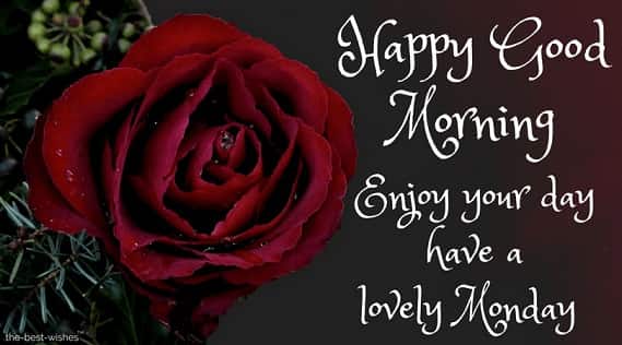 blessed monday greetings with red rose