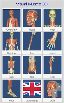 تنزيل Visual Anatomy 3D | Human APK