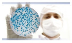 Laboratoire de Production de Médicaments à Alger, recrute : un microbiologiste