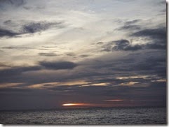 DSCF7201